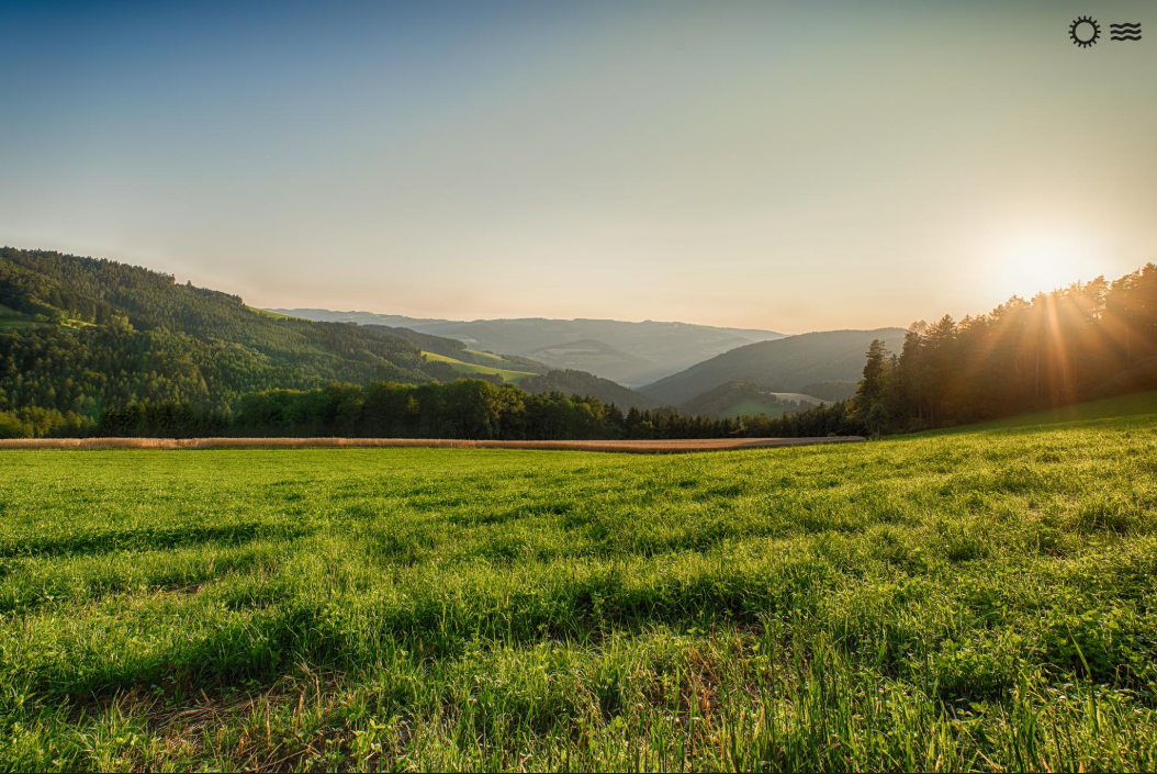 Санаторий "Крона"